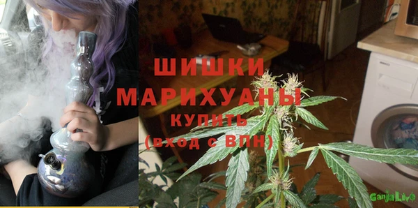 наркотики Бородино