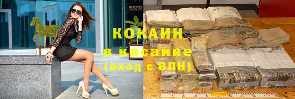 хмурый Аркадак