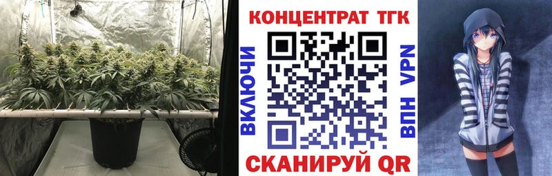 ТГК Wax  hydra как зайти  Звенигово 