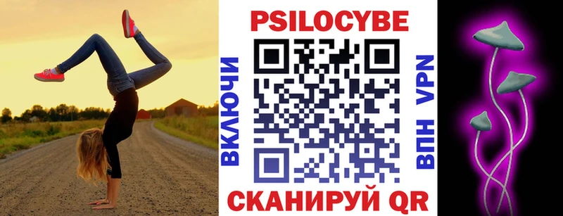 Псилоцибиновые грибы Psilocybine cubensis  Звенигово 